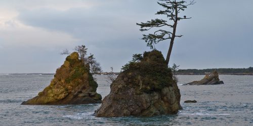 partner tep sea stacks