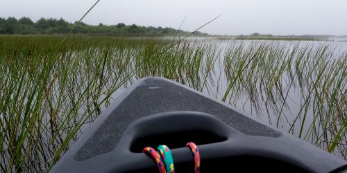partner webs kayak
