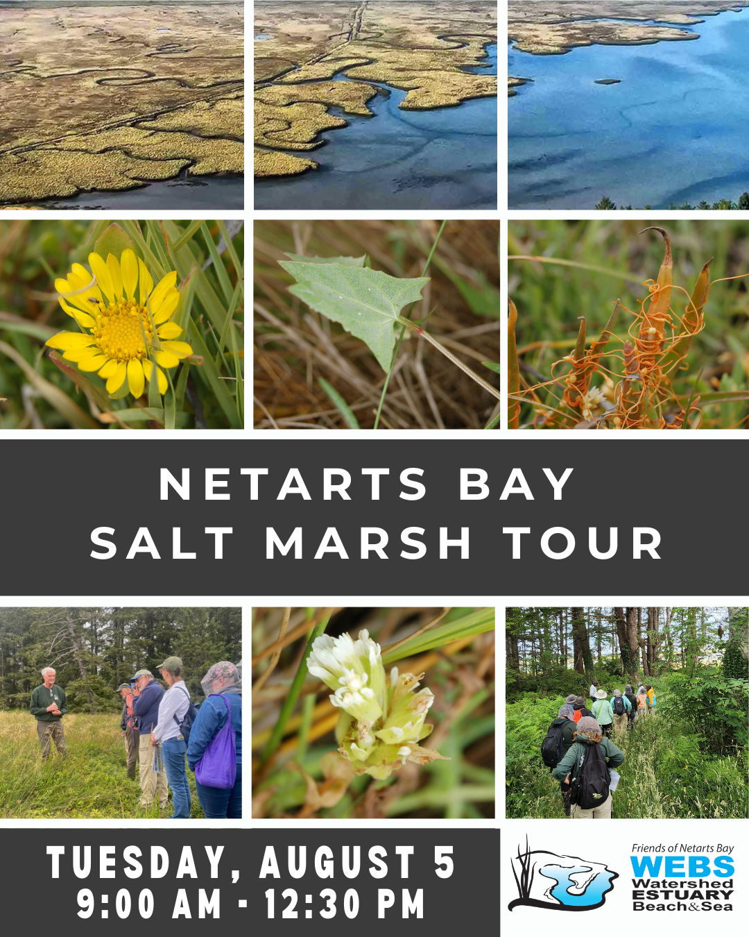 Salt Marsh Program 2025