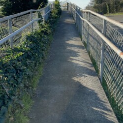 IMG 7275[1]