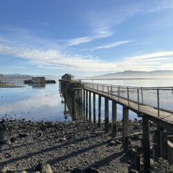 IMG 7280[1]