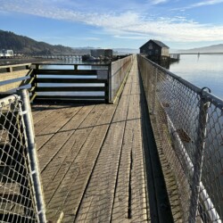 IMG 7282[1]