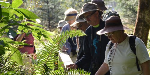 partner north coast land conservancy walk