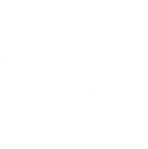 nnsl watersheds white logo