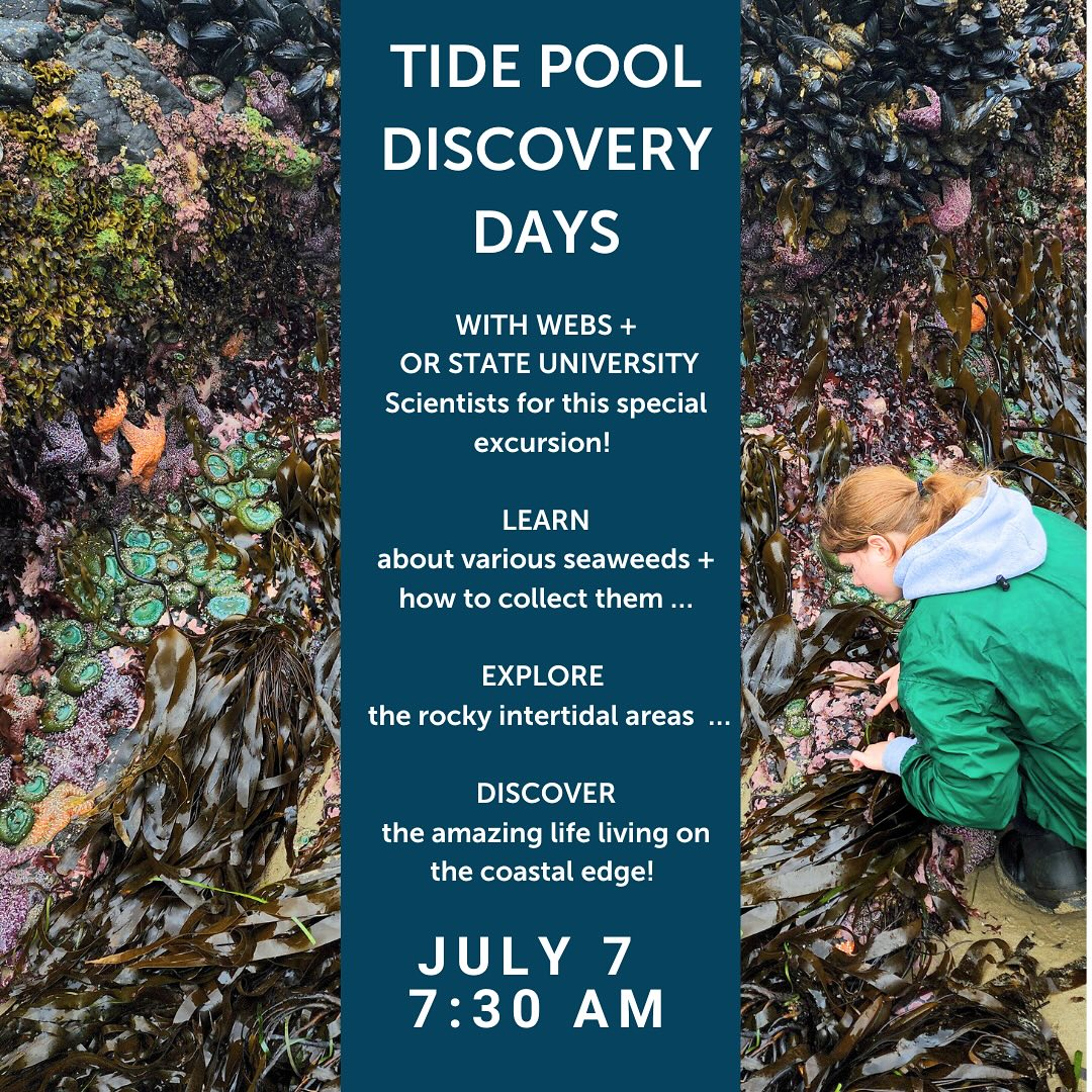 tidepool discovery days