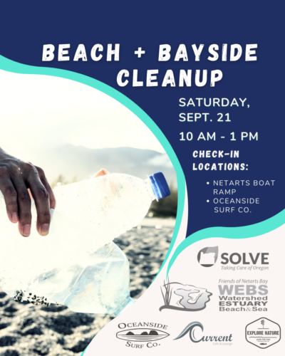 2024 09 21 BeachCleanup 1