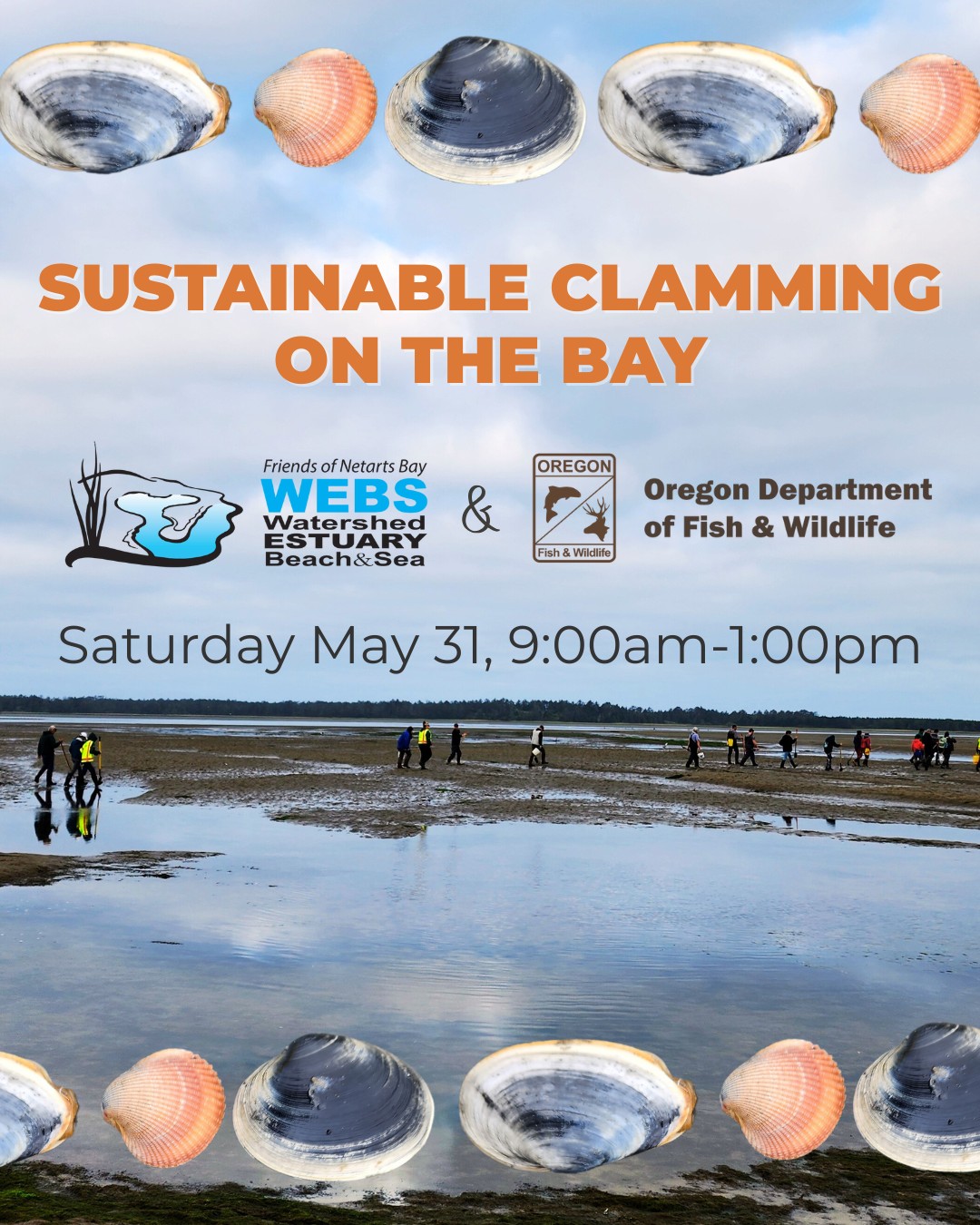 Clamming webs