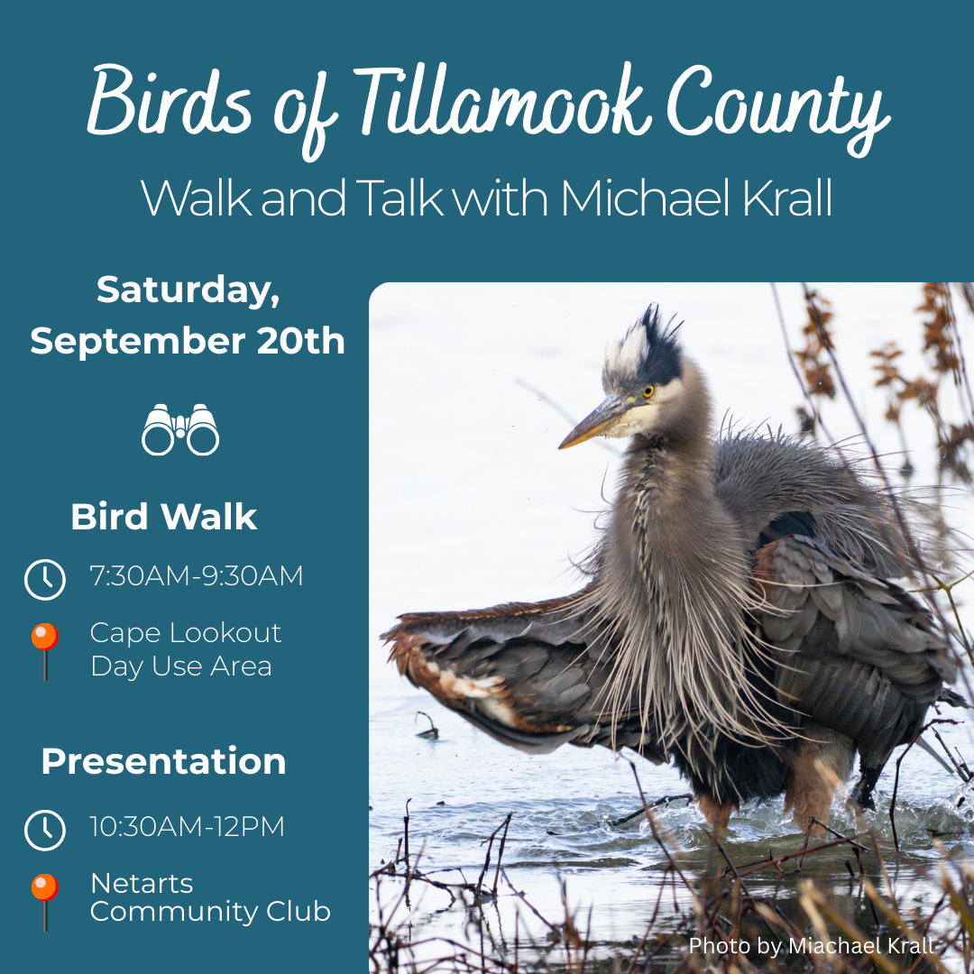 bird programs
