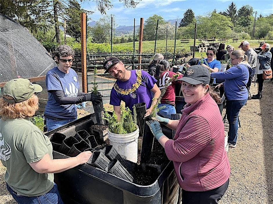 2cce06b679f3af9e0a2078be6dc52d31