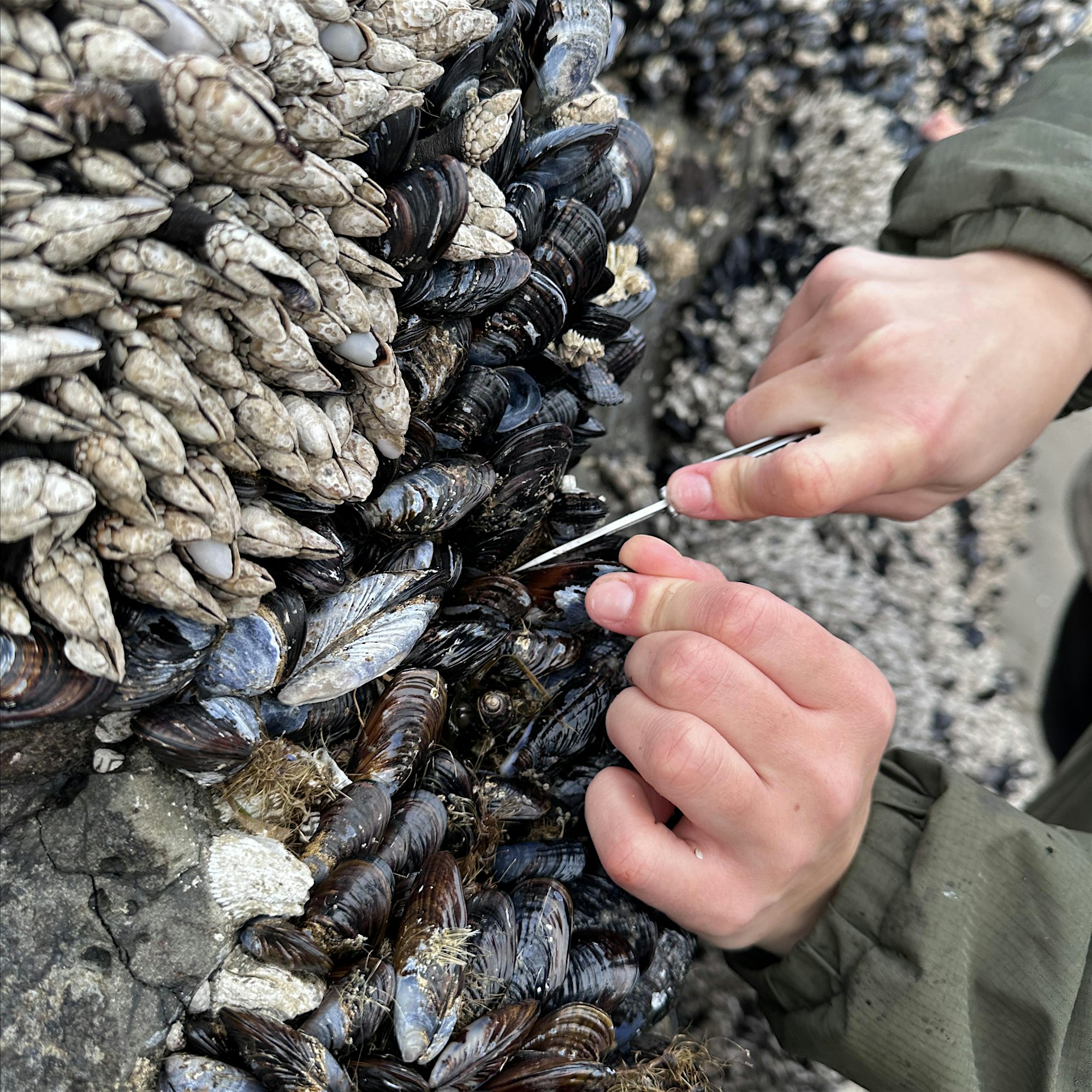 1d6071b93d7fe881f72e8b621f0277d5